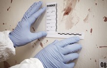 Blood Pattern Analysis: It's Written in the Blood